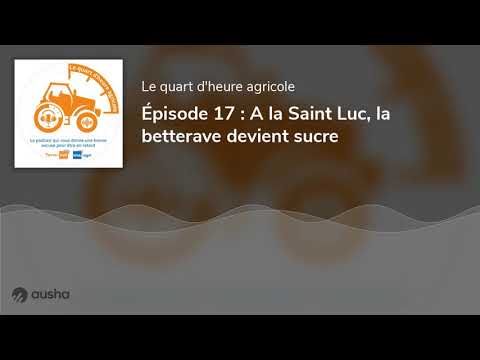 , title : 'Épisode 17 : A la Saint Luc, la betterave devient sucre'