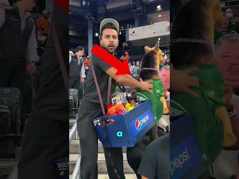 Cuando Sois Despistados...🤣‼️