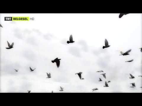 Sır | Fuzûlî | 17.Bölüm