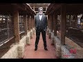 Kabali 2016 Telugu Movie Full Movie