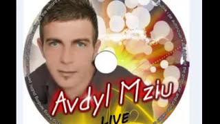 Avdyl Mziu - Oj Lulja E Blinit