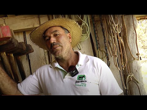 O SÍTIO DO SEU JACOZINHO - SÃO SEBASTIÃO DO PARAÍSO MG