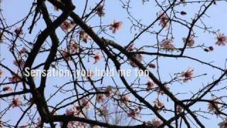 rudecute - built for us (with lyrics)