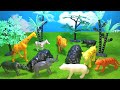 Miniature Zoo With Zebra Lion Hippo Giraffe Rhino Elephant Chetaah Tiger Polar Bear