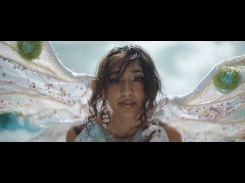 WHERE DID ALL THE BUTTERFLIES GO?