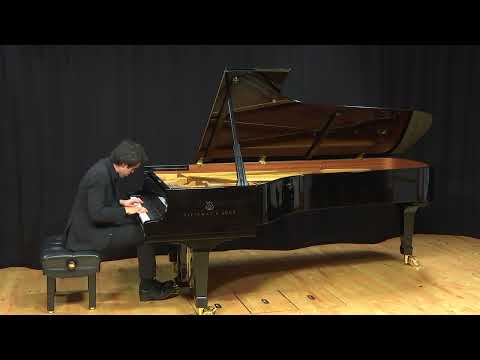 Parvis Hejazi. Klavierkonzert in Berlin | Kontramarka.de