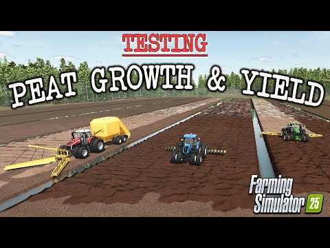 CAN WE IMPROVE YIELDS? SUNSHINE FOREST Farming Simulator 25.