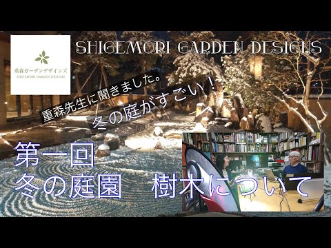 冬になるとトゥジャが茶色になるのはなぜですか?原因と解決策は何ですか?  庭園