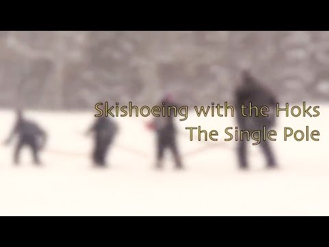 Hoks and the Single Pole