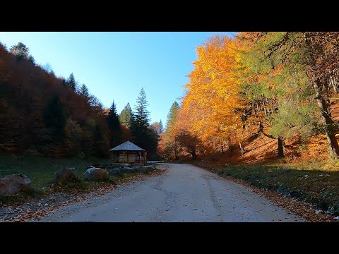 Drumul Zărnești - intrarea în Prăpăstii și înapoi până la intersecția cu drumul spre Măgura