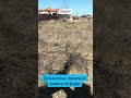 Видео превью