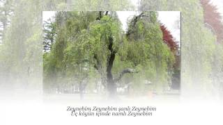 SERDAR KAŞIKÇILAR Söğüdün Yaprağı Narindir Narin