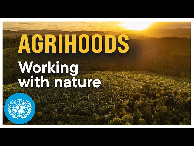 The Neighborhood Design That Could Save the Planet