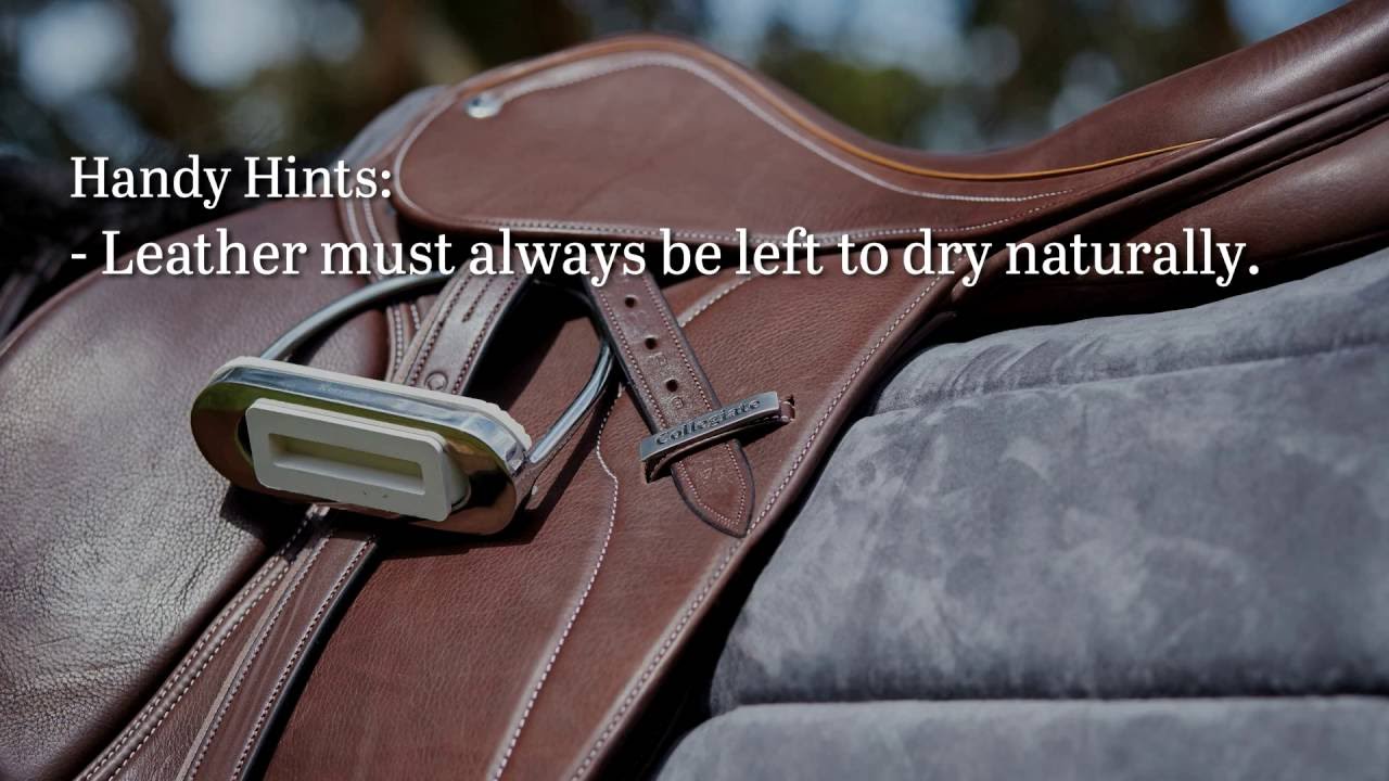 Saddle Guides Help Choosing Horse Ridding Saddles