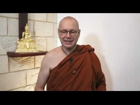 Ajahn Brahmali: Day 4 Morning Session Dhamma Talk & Meditation 19.05.21