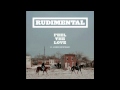 Rudimental Feat. John Newman - Feel The Love ...
