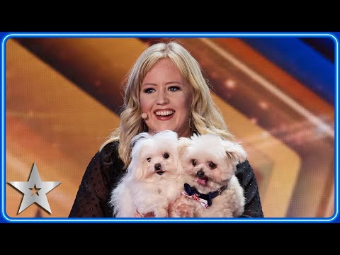 DANCING DOG Trip Hazard returns to Britain's Got Talent stage | Auditions | BGT 2024