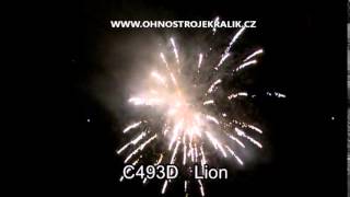 LION 49 RAN
