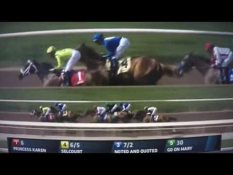 ANGELS FLIGHT S, G STAKES $75,000 FAYPIEN !!!