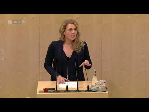 Nationalratsrede vom 22. 11. 2018 Wohnbau