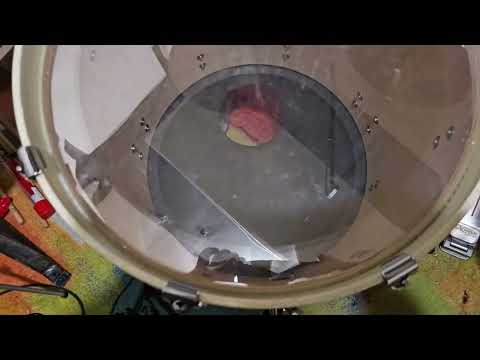 NATAL MAPLE ORIGINALS DRUM KIT TOUR