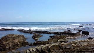 TDLOAT: Crystal Cove State Park (Ep. 14)