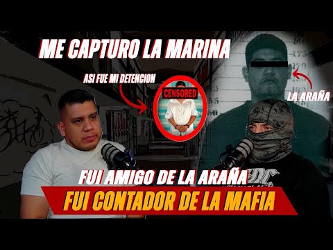 LAZCANO ME AUDITABA / LA ARAÑA ERA MI AMIGO / DE LIMPIAR UNA BODEGA A CONTADOR DE LA MAFIA