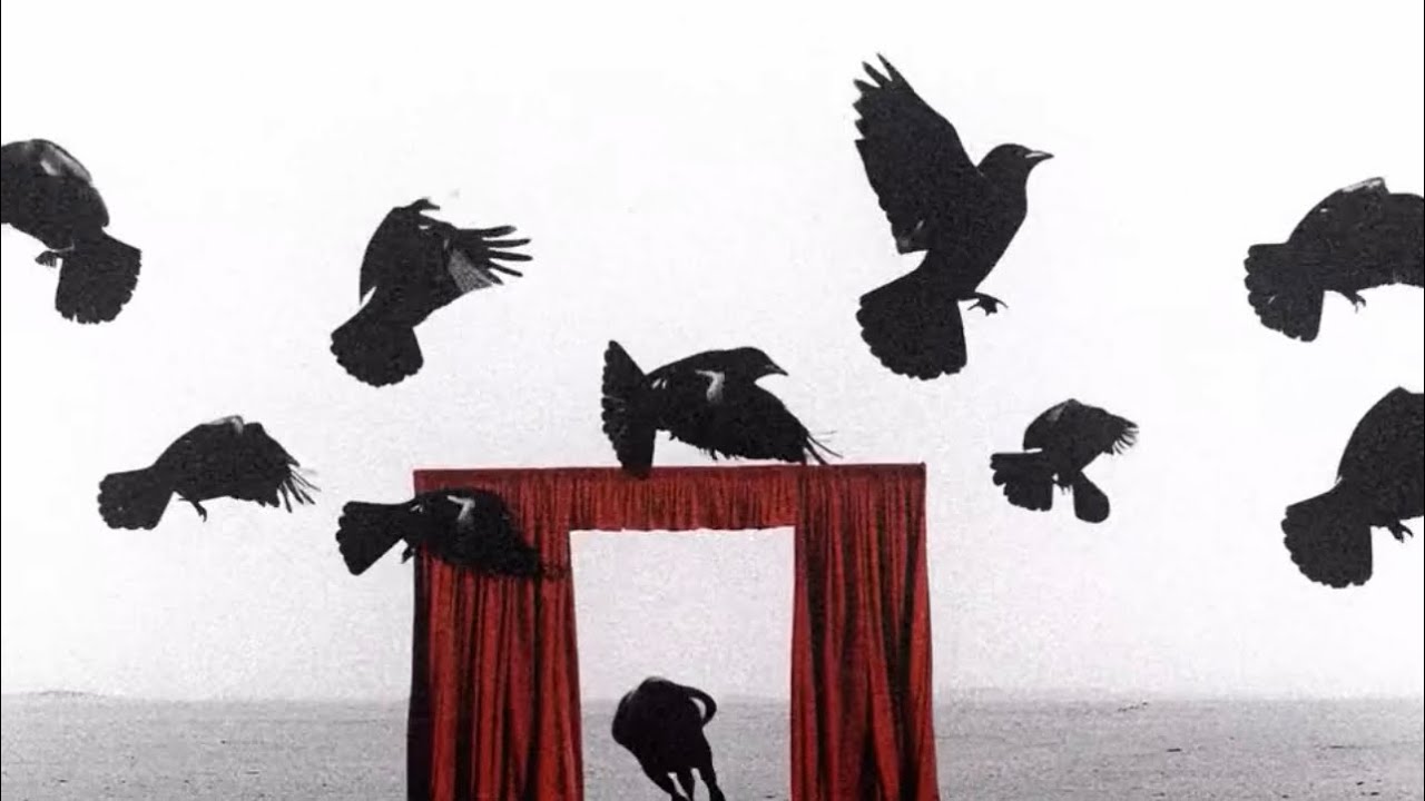 Open Says Me - K.Jack (Visualizer)