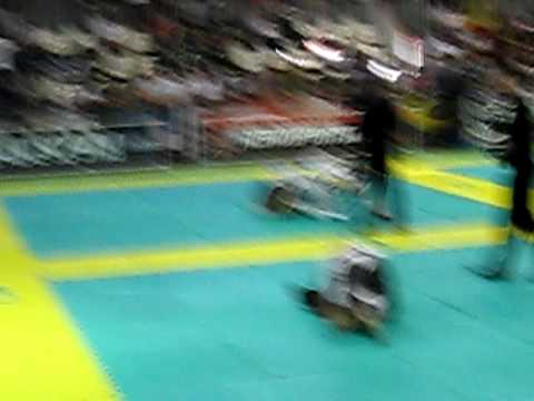 jack magee X vitor dos antos