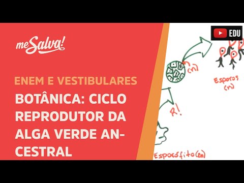 Me Salva! BOT02 - Botânica - Ciclo reprodutor da alga verde ancestral