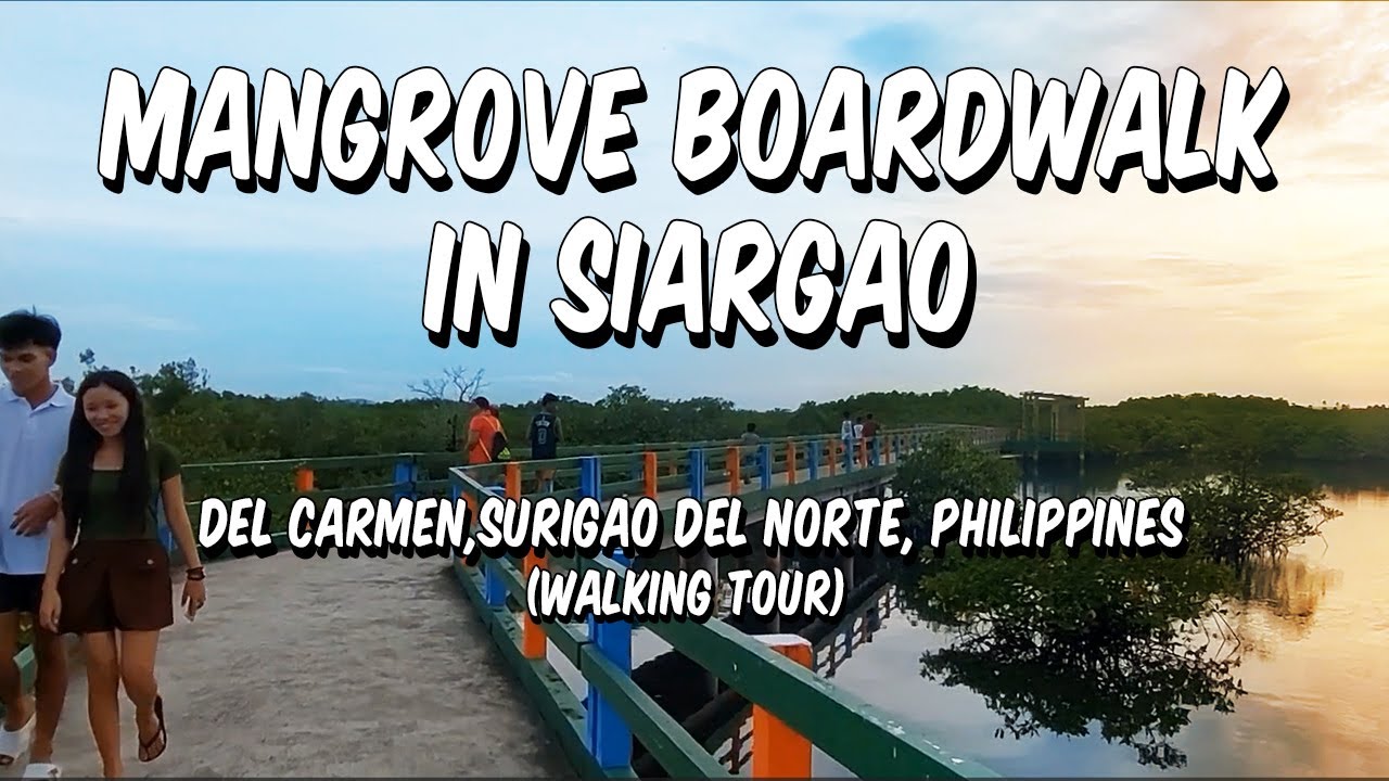 Embark on a stroll through Del Carmen Mangrove boardwalk.