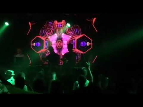 Rising Dust- Free The World