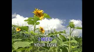 I Count The Minutes (Karaoke) - Style of Ricky Martin