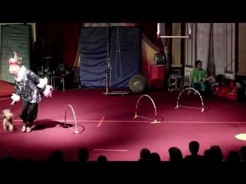 Wonderful World of Circus - tanya and the dogs