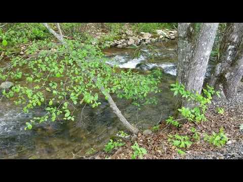 Creek behind our motorhome.