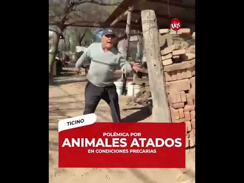 TICINO: DENUNCIA DE MALTRATO ANIMAL.