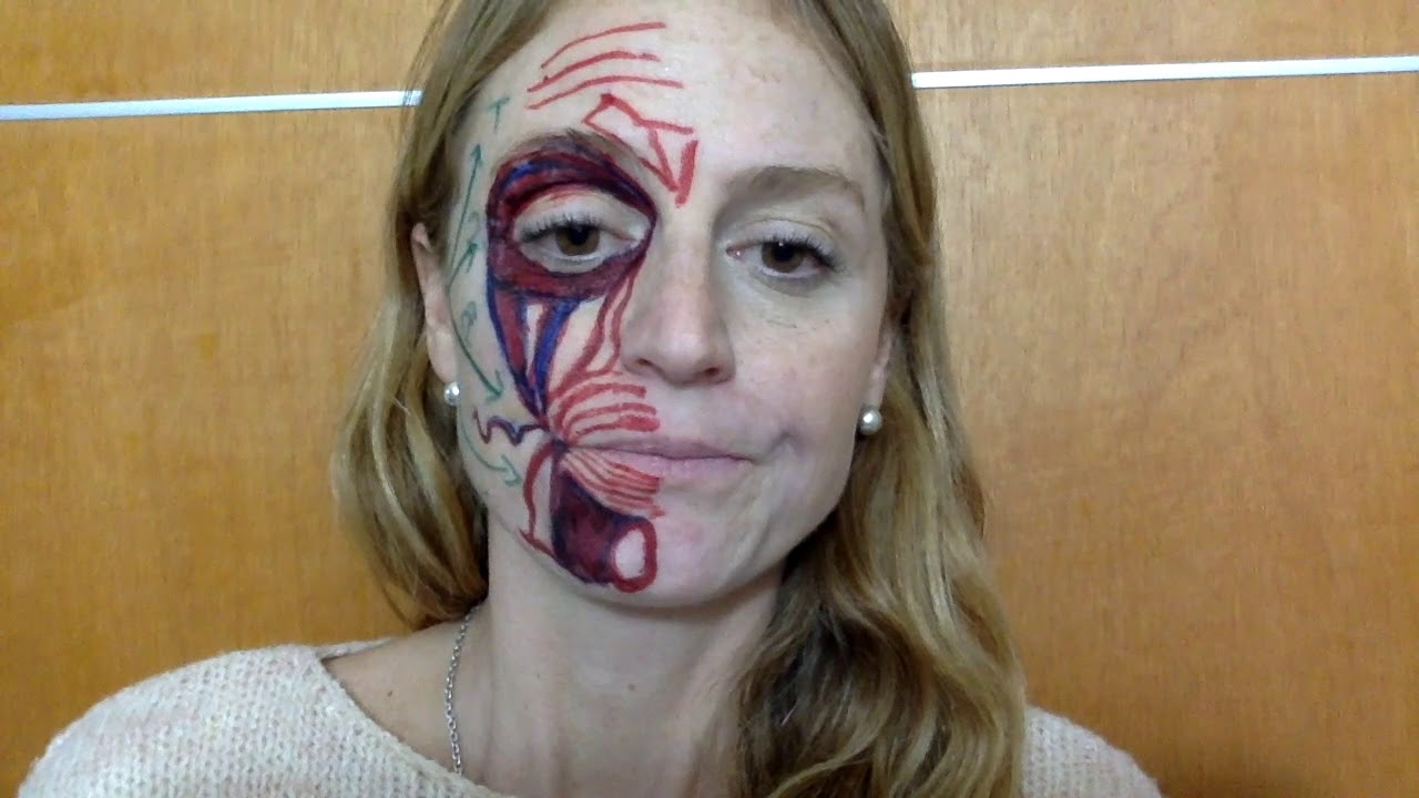 NERVIO FACIAL. Prof. Liliana Scarpinelli