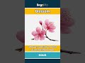 blossom (noun) - definition and usage in English