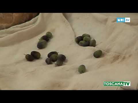 2020-11-20 LUCCA - CRISI NERA PER GLI AGRITURISMI, CHIUSE 130 ATTIVITÀ