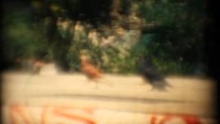 PJ Harvey feat. Thom Yorke - This Mess Were In (Super-8)