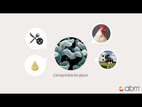 5) Next Generation Sequencing (NGS) - Applications of Whole Genome Sequencing