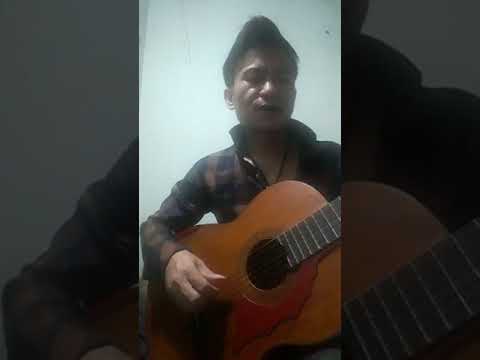 Cánh chim băng giá - Đức Vũ