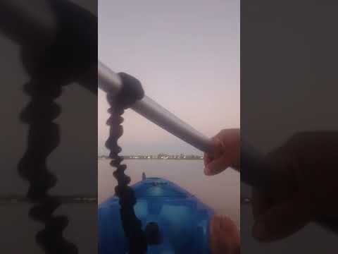 ISLA SAN FRANCISCO REGRESO