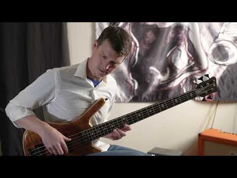 2004 Warwick LTD Edition FNA Jazzman Five String