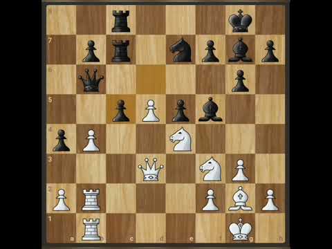 AUDUN BREKK VS MAGNUS CARLSEN ( NOR CHAMPIONSHIP GROUP MINIPUTT 1999)