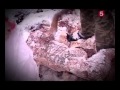 5 канал Санкт-Петербург-Правда жизни.avi 