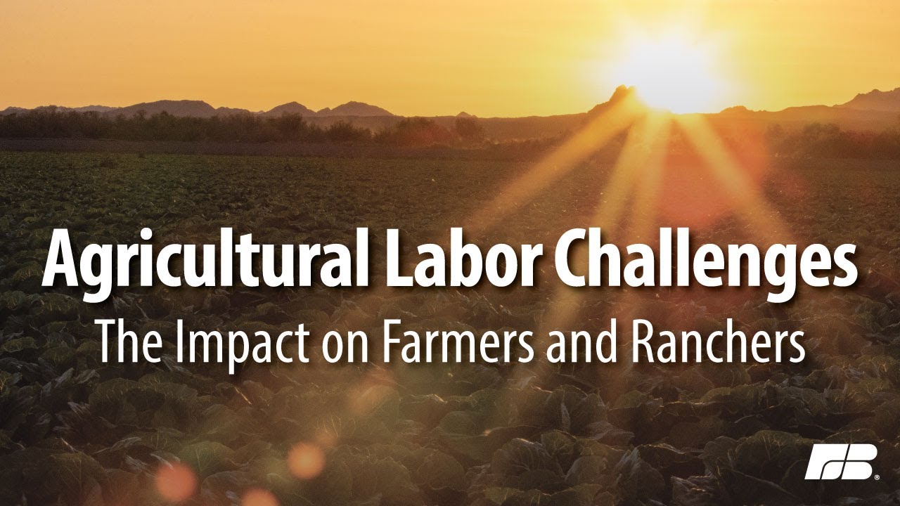 Agricultural Labor Challenges: The Impact on Farmers and Ranchers