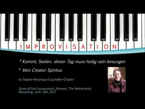 Sophie-Véronique Cauchefer-Choplin: Improvisation, Alkmaar, June 2017