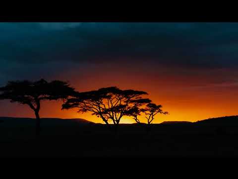 Vyno Miller ft Daliwonga & Mas Musiq - Altitude