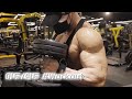 ARM DAY l 두꺼운 팔을 만드는 이두/삼두 운동 (feat.대회준비)